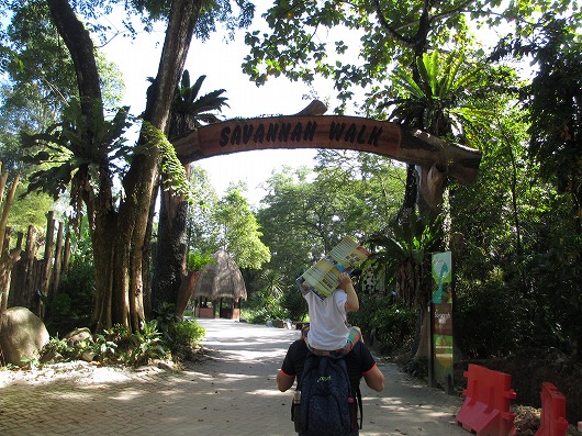 b0145863_20245619.jpg
