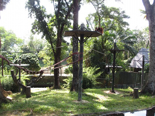 b0145863_20393391.jpg