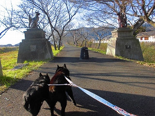 e0002466_633790.jpg