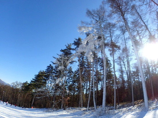 c0122670_19100754.jpg