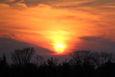 c0152779_1413450.jpg