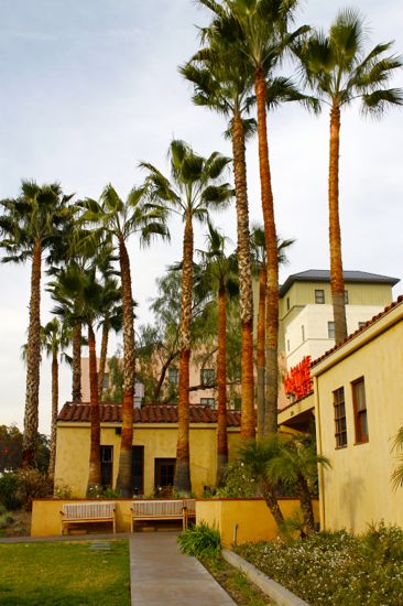 f0245389_1094238.jpg