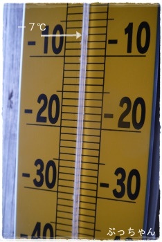 f0353990_18240901.jpg