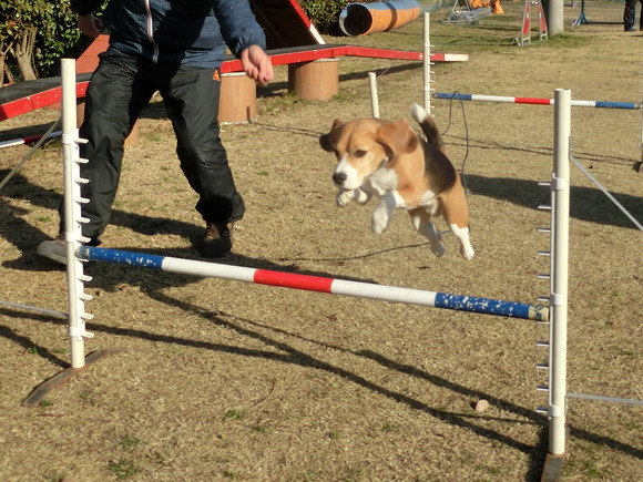 a0319693_10224972.jpg