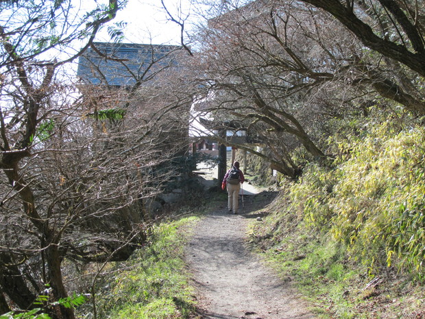 a0166196_16442896.jpg