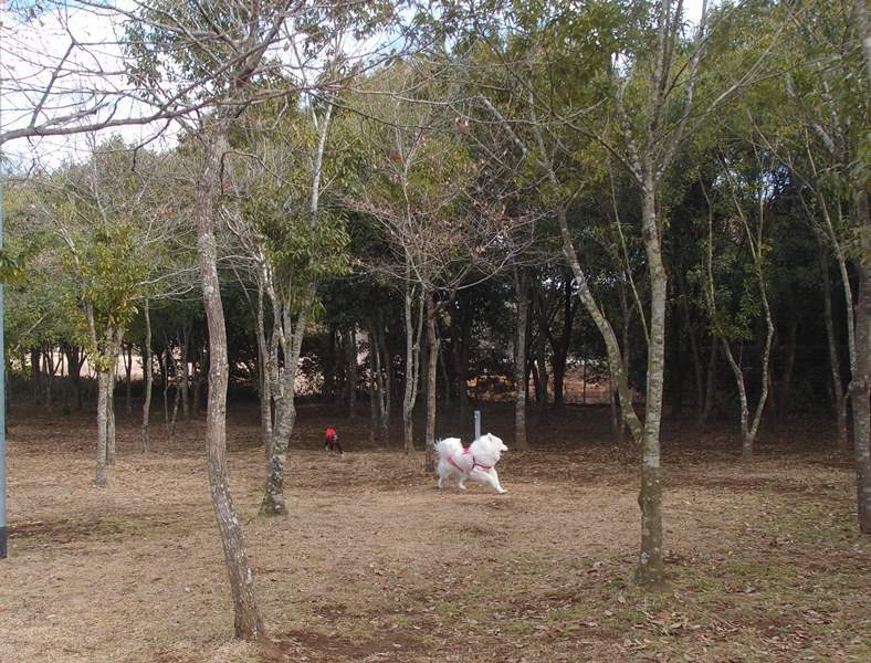 e0018604_16522137.jpg