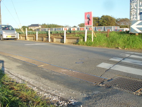 a0162505_2311216.jpg