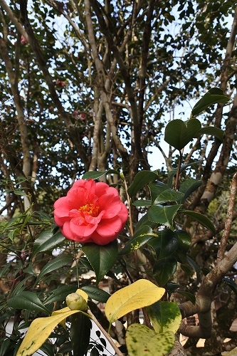 c0168815_22253207.jpg