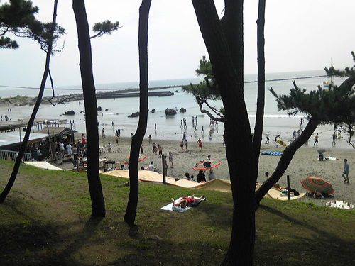 b0285619_16455510.jpg