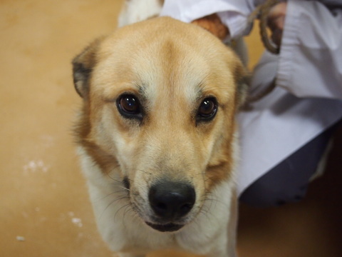 f0078320_12323015.jpg