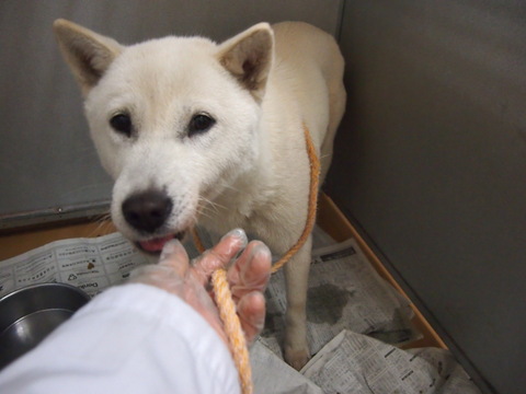 f0078320_1305492.jpg