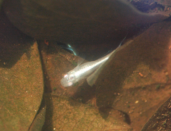 e0097534_11141910.jpg