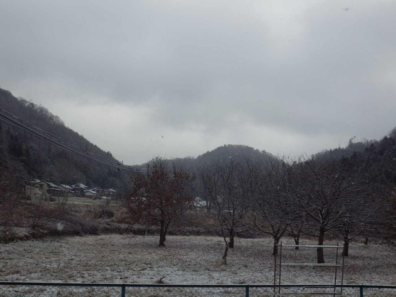 c0300035_15281061.jpg