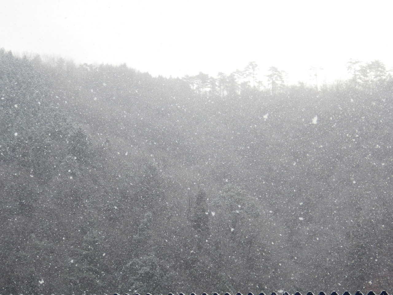 c0300035_15282347.jpg