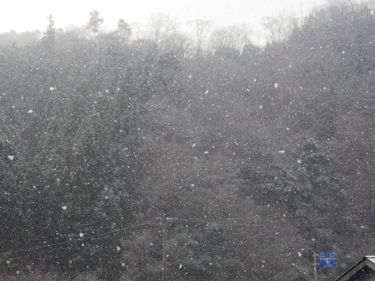 c0300035_15283250.jpg