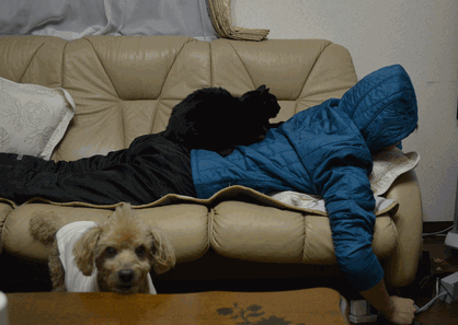 c0136736_13575564.gif