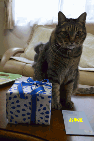 c0136736_1441755.gif