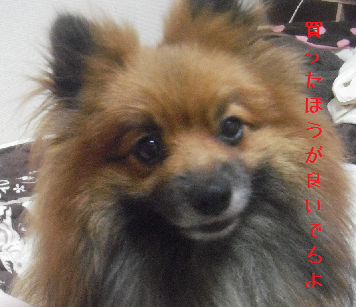 d0196736_08382965.png