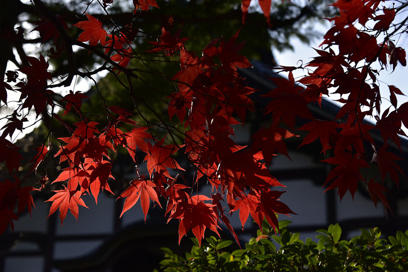 b0042837_5584143.jpg