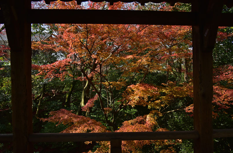 b0042837_65755.jpg