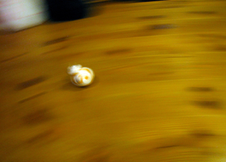 b0325640_1239513.jpg