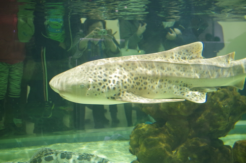 a0299749_21541262.jpg