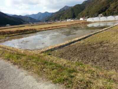c0330749_19284874.jpg
