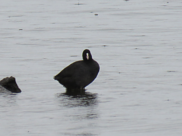 f0214649_1672731.jpg
