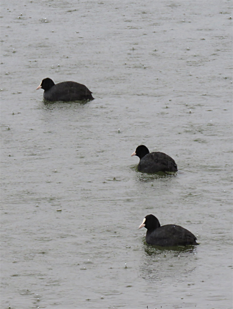 f0214649_168741.jpg