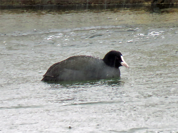 f0214649_54733100.jpg