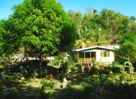 b0173754_13100080.jpg