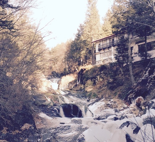 a0240971_06201051.jpeg