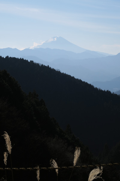 b0144082_825733.jpg