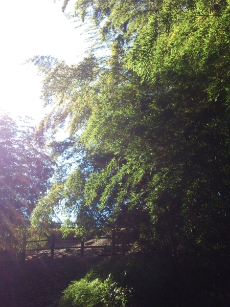a0243590_22130857.jpg
