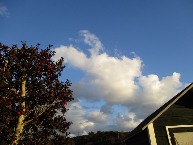 d0333091_16541978.jpg