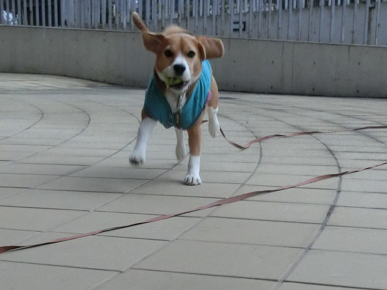 a0319693_92715100.jpg