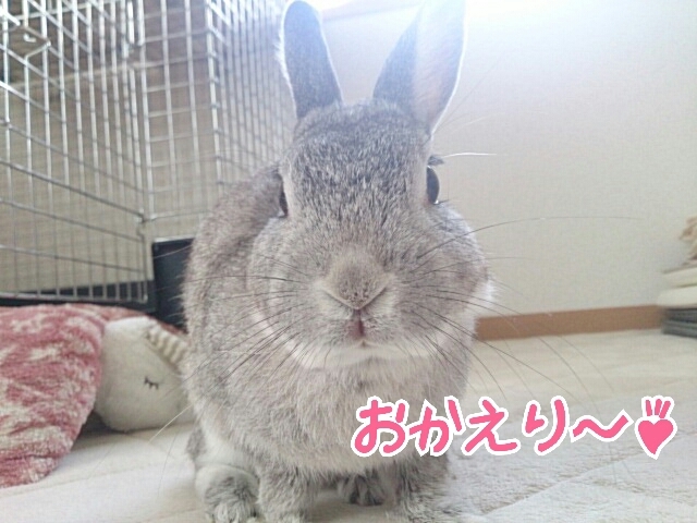 b0081503_20145039.jpg