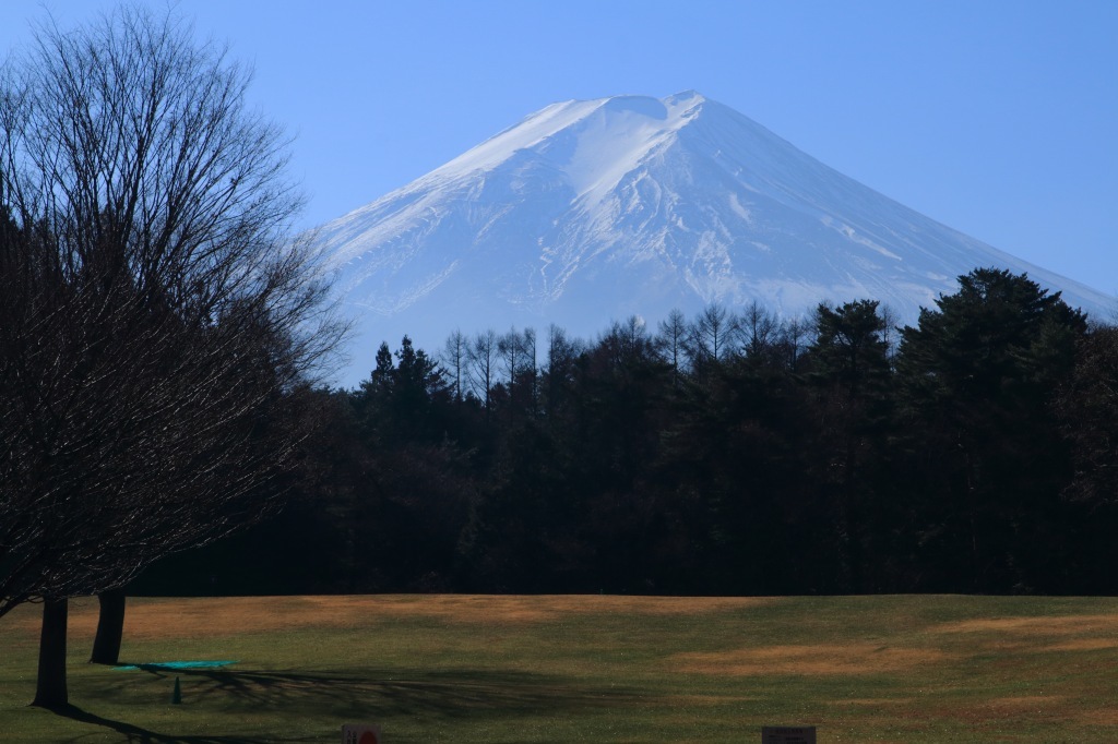 a0188405_11394033.jpg