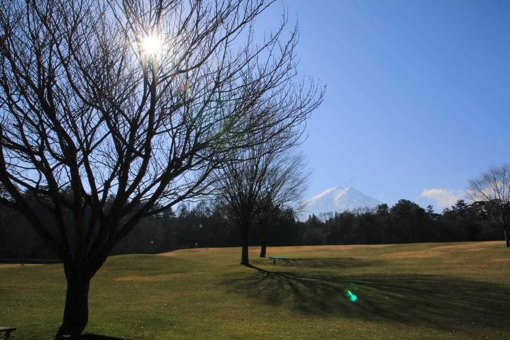 a0188405_11402696.jpg