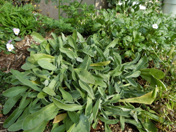 a0139007_22344295.jpg