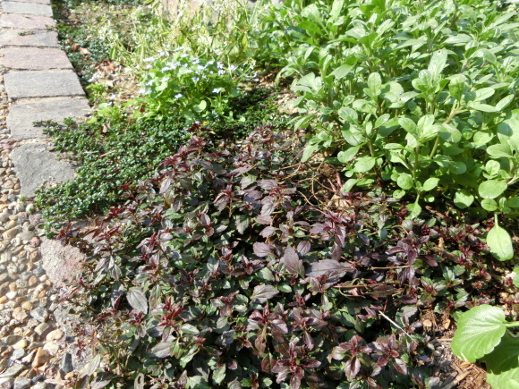 a0139007_22351168.jpg
