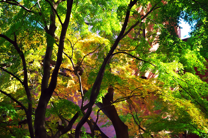 a0263109_20151550.jpg