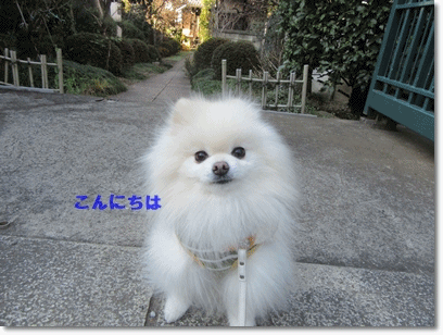 b0167519_23385319.gif