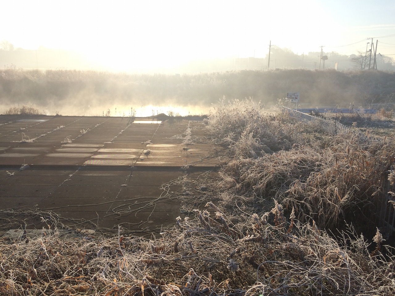 f0225627_19201526.jpg