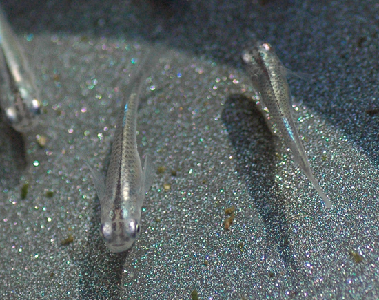 e0097534_10404341.jpg