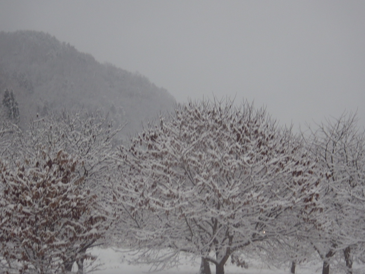 c0300035_8302863.jpg