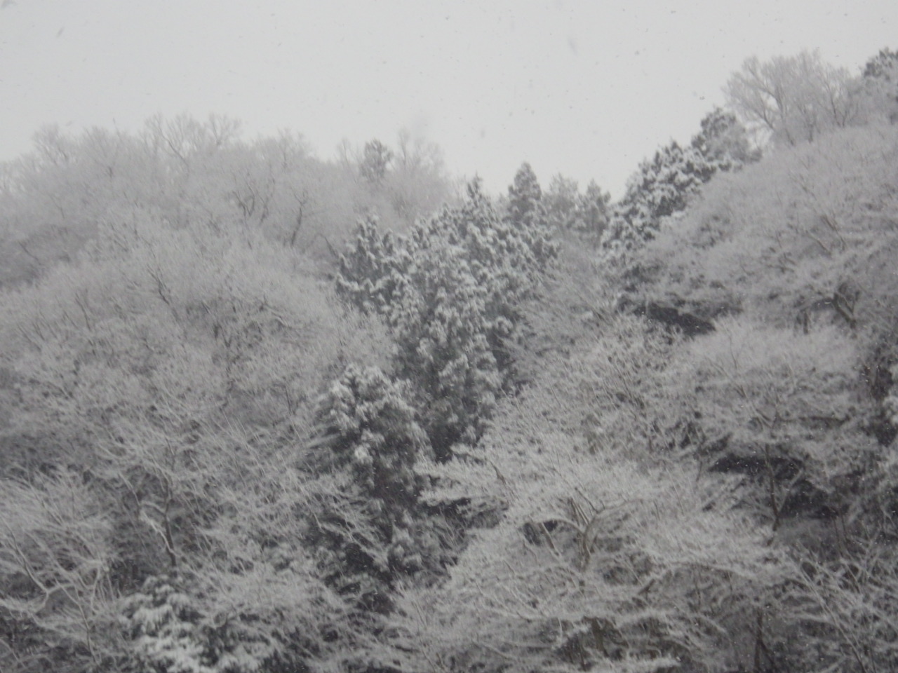 c0300035_8311217.jpg