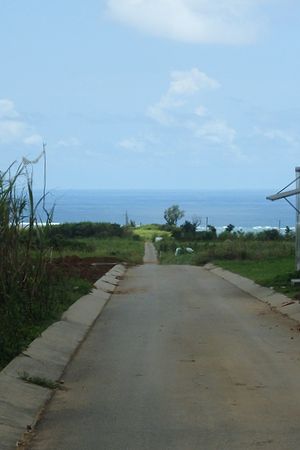 c0148238_16293964.jpg