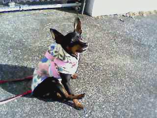 e0150843_2319076.jpg