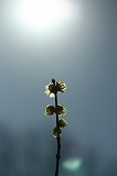 c0261349_23045896.jpg